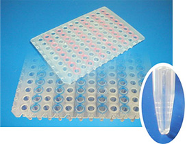 PCR Plates