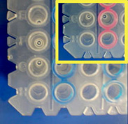 Features of PCR plates